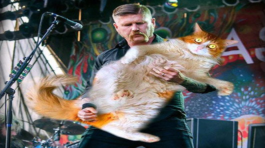 Mastodon lança clipe com gato psicodélico