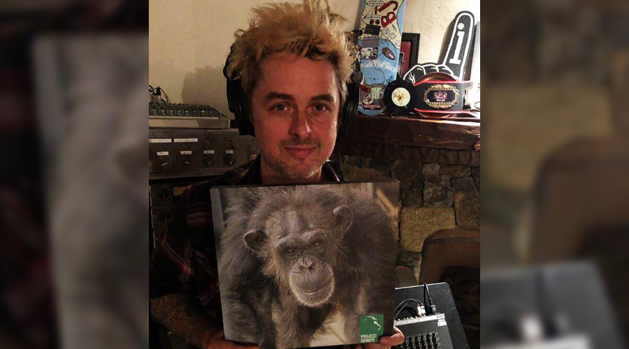 Billie Joe Armstrong, do Green Day, pede ajuda para defender chimpanzés