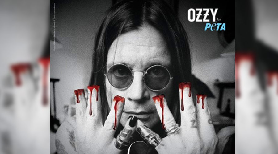 Ozzy Osbourne faz campanha contra mutilação de gatos