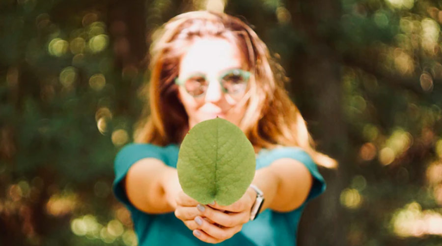 Livro “101 dias com ações mais sustentáveis” tem acesso digital liberado