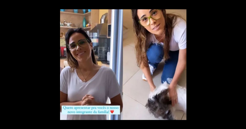 Wanessa Camargo adota cãozinho que sofreu maus-tratos