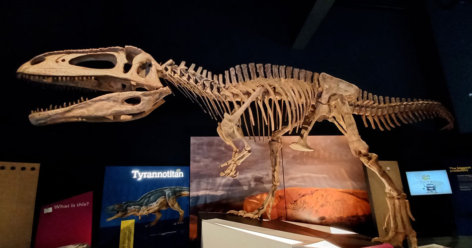 Exposição “Dinossauros Patagotitan – O Maior Do Mundo” chega a SP