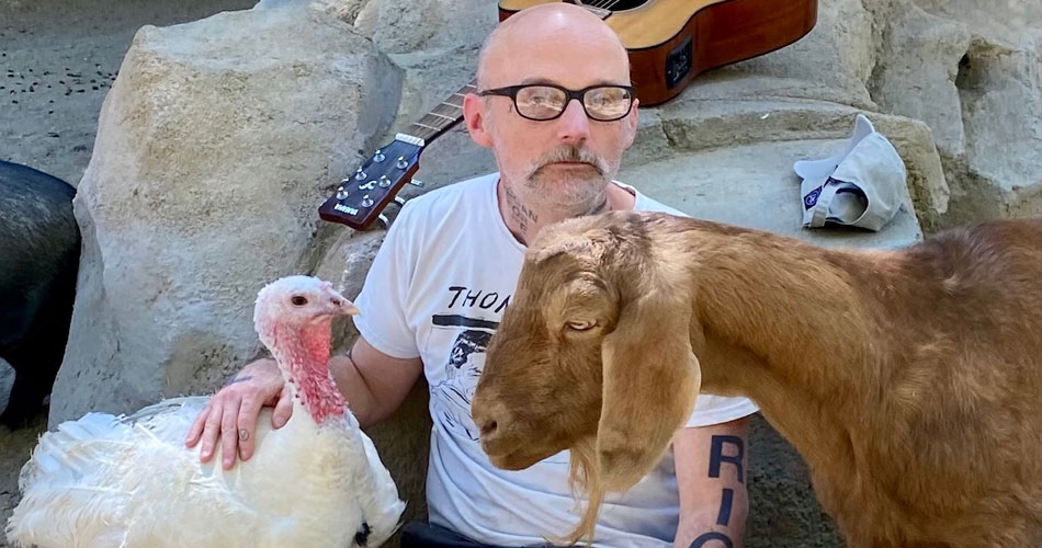 Moby anuncia turnê com 100% dos lucros destinados à defesa dos animais