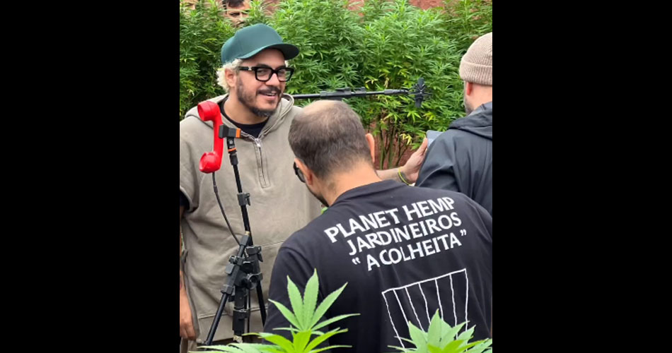 Planet Hemp faz show na maior fazenda de maconha do Brasil